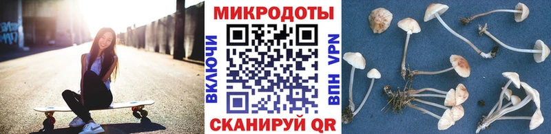 Галлюциногенные грибы Magic Shrooms  Злынка 